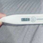 ヒメ日記 2025/09/29 14:07 投稿 リリカ(奥方) 奥様幕府