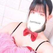 ヒメ日記 2025/09/30 22:33 投稿 ゆめか 折り紙 ORIGAMI