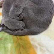 ヒメ日記 2025/10/27 23:42 投稿 あみ 水戸デブ専肉だんご＆人妻浮気現場