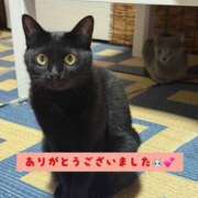 ヒメ日記 2025/11/11 17:21 投稿 あみ 水戸デブ専肉だんご＆人妻浮気現場