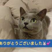 ヒメ日記 2025/11/30 01:10 投稿 あみ 水戸デブ専肉だんご＆人妻浮気現場