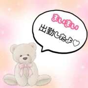 まい 出勤 奥様プリモ