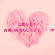 ヒメ日記 2026/03/05 08:29 投稿 まい 奥様プリモ