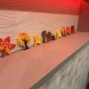 ヒメ日記 2025/10/31 08:21 投稿 あゆむ エンジェルシリカ