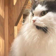 ヒメ日記 2025/11/21 07:57 投稿 あゆむ エンジェルシリカ