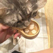 あゆむ ※無題 エンジェルシリカ