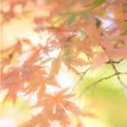 ヒメ日記 2025/10/14 07:30 投稿 朝陽　あさひ 本庄人妻城