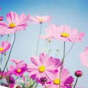 ヒメ日記 2025/10/16 19:31 投稿 朝陽　あさひ 本庄人妻城