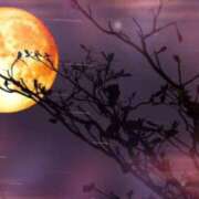 ヒメ日記 2025/11/05 09:15 投稿 朝陽　あさひ 本庄人妻城