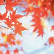 ヒメ日記 2025/11/07 07:30 投稿 朝陽　あさひ 本庄人妻城