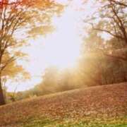 ヒメ日記 2025/11/26 07:01 投稿 朝陽　あさひ 本庄人妻城