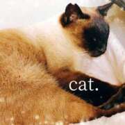 朝陽　あさひ 夜の退屈更新🌛 本庄人妻城