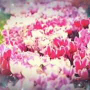 ヒメ日記 2025/12/07 08:02 投稿 朝陽　あさひ 本庄人妻城