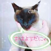 ヒメ日記 2025/12/22 07:31 投稿 朝陽　あさひ 本庄人妻城