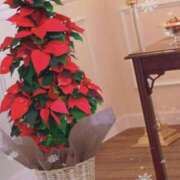 ヒメ日記 2025/12/24 07:30 投稿 朝陽　あさひ 本庄人妻城