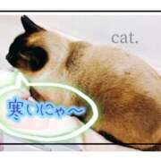 ヒメ日記 2026/01/11 21:02 投稿 朝陽　あさひ 本庄人妻城