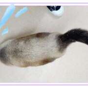 ヒメ日記 2026/02/02 12:07 投稿 朝陽　あさひ 本庄人妻城