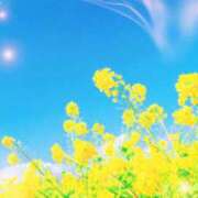 ヒメ日記 2026/02/06 15:03 投稿 朝陽　あさひ 本庄人妻城