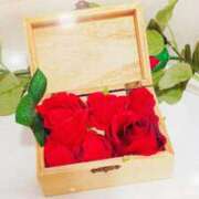 ヒメ日記 2026/02/18 15:15 投稿 朝陽　あさひ 本庄人妻城