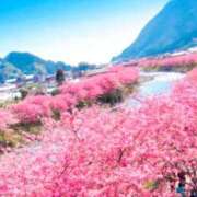 ヒメ日記 2026/03/04 16:01 投稿 朝陽　あさひ 本庄人妻城