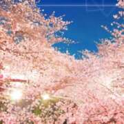 ヒメ日記 2026/04/10 21:46 投稿 朝陽　あさひ 本庄人妻城