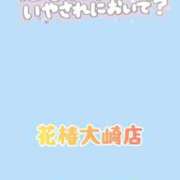 ヒメ日記 2026/09/28 11:00 投稿 小雨-こさめ- 人妻倶楽部 花椿大崎店