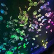 ヒメ日記 2025/10/16 17:14 投稿 ひろの マリン宮殿水戸店