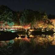 ヒメ日記 2025/11/22 10:04 投稿 ひろの マリン宮殿水戸店