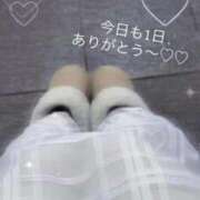 ヒメ日記 2025/11/22 21:54 投稿 ひろの マリン宮殿水戸店