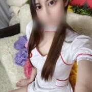 ヒメ日記 2025/12/15 06:59 投稿 つばき ロイヤルフラッシュ