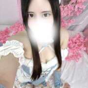 ヒメ日記 2026/01/18 12:40 投稿 つばき ロイヤルフラッシュ