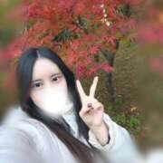 ヒメ日記 2026/02/11 12:02 投稿 つばき ロイヤルフラッシュ