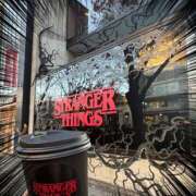 ヒメ日記 2025/12/21 17:00 投稿 すずめ ロイヤルフラッシュ