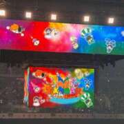 すずめ 推し活♡ ロイヤルフラッシュ