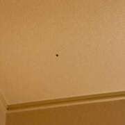 ヒメ日記 2025/10/06 22:55 投稿 よる ロイヤルフラッシュ