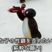 ヒメ日記 2026/02/03 16:20 投稿 よる ロイヤルフラッシュ