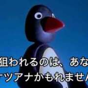 ヒメ日記 2026/02/05 01:55 投稿 よる ロイヤルフラッシュ