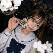 ヒメ日記 2026/04/05 17:28 投稿 みう ロイヤルフラッシュ