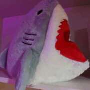 ヒメ日記 2025/10/29 12:05 投稿 りく ロイヤルフラッシュ