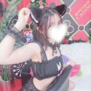 ヒメ日記 2025/12/13 10:31 投稿 せら ロイヤルフラッシュ