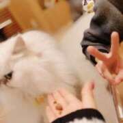 ヒメ日記 2025/12/15 19:29 投稿 せら ロイヤルフラッシュ