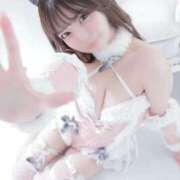 もえ ど〜お？🐰💕 ロイヤルフラッシュ