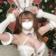 ヒメ日記 2025/11/04 06:00 投稿 ねむ ロイヤルフラッシュ