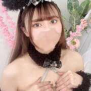 ヒメ日記 2025/11/04 21:01 投稿 ねむ ロイヤルフラッシュ