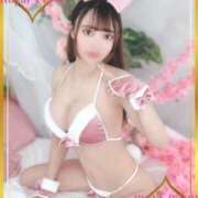 ヒメ日記 2025/11/08 15:37 投稿 ねむ ロイヤルフラッシュ