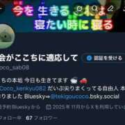 ヒメ日記 2025/12/13 16:13 投稿 ここ ロイヤルフラッシュ