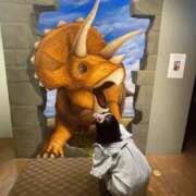 ヒメ日記 2026/01/28 08:01 投稿 ここ ロイヤルフラッシュ