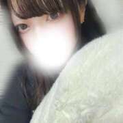 ヒメ日記 2025/12/12 13:16 投稿 ほたる 美女のカタチ