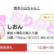 ヒメ日記 2025/12/15 15:46 投稿 しおん 栃木小山ちゃんこ