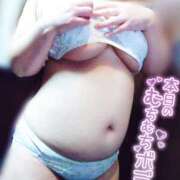 ヒメ日記 2026/03/29 09:58 投稿 しおん 栃木小山ちゃんこ